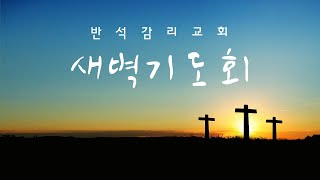 반석감리교회(안양) 온라인 새벽 기도회 [2024년 11월 15일 (금)]