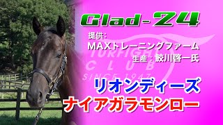 Glad24(牡1歳   *リオンディーズ x ナイアガラモンロー)の募集動画＜放牧風景/8月末～9月上旬撮影＞