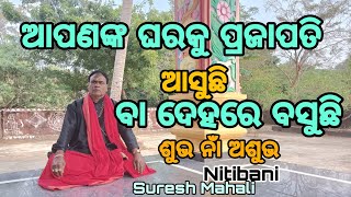 ଆପଣଙ୍କ ଘରକୁ ପ୍ରଜାପତି ଆସୁଛନ୍ତି ବା ଦେହରେ ବସୁଛନ୍ତି ଏହା ଶୁଭ ନାଁ ଅଶୁଭ # Nitibani # Suresh Mahali