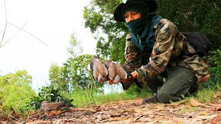 คลิปหาดูยาก หมายเดียวได้สองตัว เชลยคารมดีๆเด็ดๆทั่งนั่น ต่อนกเขาใหญ่ด้วยลำโพง