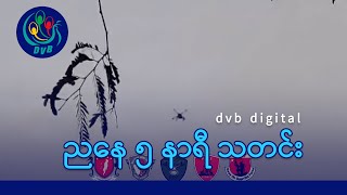 DVB Digital ညနေ ၅ နာရီ သတင်း (၁၉ ရက် နိုဝင်ဘာလ ၂၀၂၄)