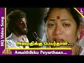 Amaidhikku Peyarthaan Video Song | Rail Payanangalil Tamil Movie Songs | TM Soundararajan