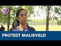 Organisatie over protest Black Lives Matter op Malieveld in Den Haag - OMROEP WEST