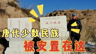 归附唐朝的游牧民族，被如何对待？他们有会如何报答唐朝【姜野环球之旅】