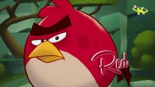 Red is here | Angry Birds | Mon-Fri 12 Noon | Discovery Kids