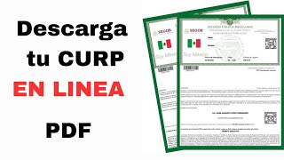 CÓMO DESCARGAR Y ACTUALIZAR TU CURP GRATIS EN PDF