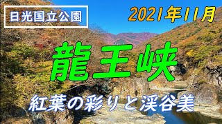 【紅葉】スポット・日光国立公園龍王峡2021-11月7日まさに見ごろ