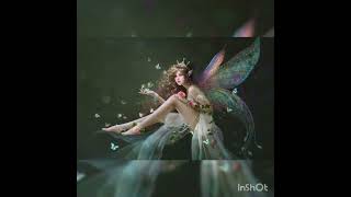 Fairy tale photos