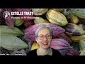 Interview with Estelle Tracy from 37 Chocolates