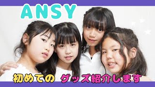 【グッズ紹介】元気にグッズ紹介【 ANSY】