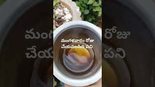 ధన లాభం