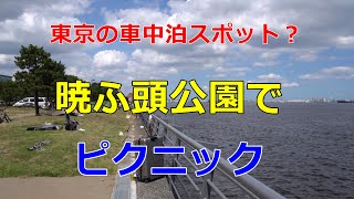 【東京の車中泊スポット？】リニューアルした暁ふ頭公園でピクニックしてきた