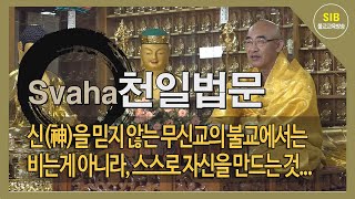 자성을 찾는 Svaha 천일법문 제779회... 신(神)을 믿지 않는 무신교의 불교에서는 비는게 아니라, 스스로 자신을 만드는 것...