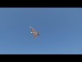 サーボ駆動羽ばたき機　オオタカ　sfogoshawk111 86g 8th flight test with ms320 servo at seaside