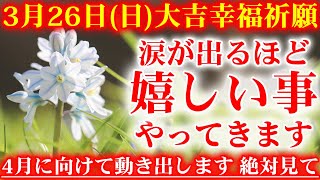 幸せを呼び悪い事からあなたを護る可愛いお花です。3月26日朝の浄化祈願