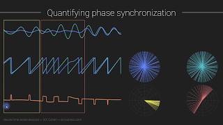 Inter-site phase clustering (ISPC); phase synchronization