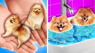 RICH GIRL SAVED A STREET DOG || Makeover of Homeless Puppy! Must-Have Hacks & Gadgets by 123 GO!