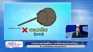 คุยข่าวเมาท์กับหมอ : แมงดาหน้าร้อน, โรคกวางซอมบี้, ครูตายเยื่อหุ้มสมองอักเสบ : พบหมอรามาฯ 26.2.62