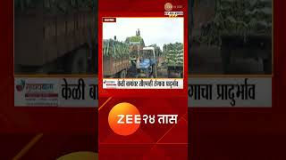 Gondia | 600 कोटींच्या धानाचे चुकारे थकले, मुदतवाढ करूनही धान खरेदी केंद्राकडे शेतकऱ्यांची पाठ