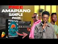 📦[FREE]📦Amapiano Sample Pack 2024 | 
