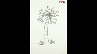 Palm Tree Drawing