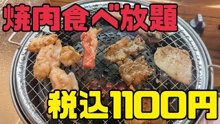 【1100円】一人で焼き肉食べ放題60分しました【大阪/焼肉/心斎橋/298/バイキング】