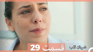 Zarabane Ghalb - ضربان قلب قسمت 29