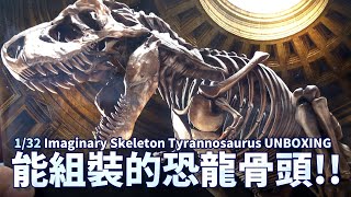 能組裝的恐龍骨頭模型 1/32幻想骨骼系列-暴龍 | Imaginary Skeleton Tyrannosaurus【借我彥一下】