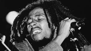 Classics roots reggae mix - Bob Marley - Dennis Brown - Peter Tosh (Legends mix) by Dub School