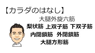 【カラダのはなし27】梨状筋・上双子筋・下双子筋・内閉鎖筋・外閉鎖筋・大腿方形筋　お尻の奥の筋肉