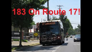 NeoplanDude | Red Rose Transit Authority 2012 Gillig BRT HEV 40' #183 On Route 17, To Columbia!