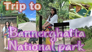 ഒന്നു Zoo കാണാൻ പോയാലോ🐒🫎🦓🦖🦌 #jerrysworldwithtom #shortvideo #travelvlog #travel #bannerghattasafari