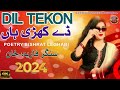 Dil Tekon Day Khari Han || Singer Fariya Khan New Saraiki Song 2024  || Sohna Meda Jani