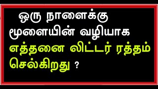 Question Answer|| தமிழ் கேள்வி பதில் || Tamil Qestion answer  @thagavalthuli3183