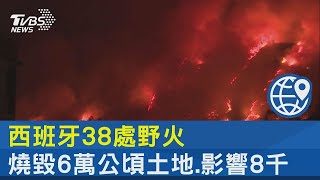 西班牙38處野火 燒毀6萬公頃土地 影響8千人｜TVBS新聞