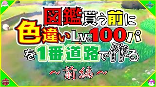 【ポケモン剣盾】図鑑貰う前に色違いレベル100パを1番道路で作る〜前編〜【ゆっくり実況】