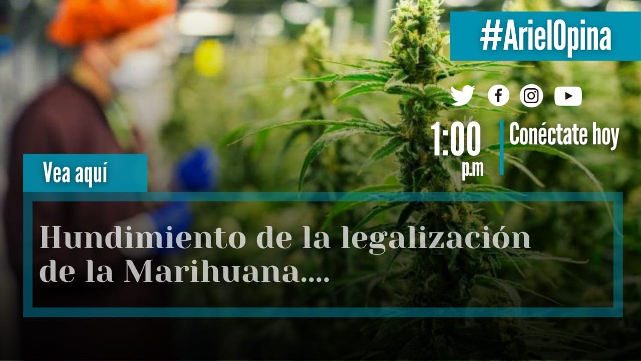 Legalizar La Marihuana - YouTube