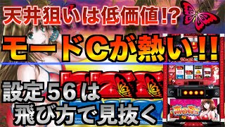 超勝てる！？南国育ちのハイエナ＆設定狙い。知らなきゃ大損