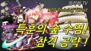 [원피스 트레저 크루즈] #70 특훈의 숲, 수염(Training forest, whitebeard) ! 도플라밍고 선장 참격 공략 !!