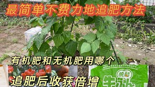 19 最简单最省力的追肥方法一看就会。