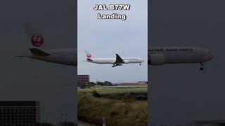 JAL Boeing 777-300ER #shorts