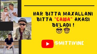 Mittivine | Har bitta maxallani bitta \