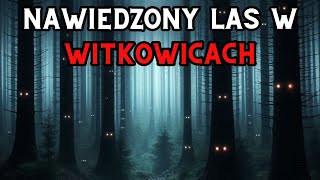 Haunted Forest in Witkowice - Paranormal Activity