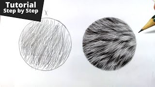 How to Draw Realistic Fur for Beginners