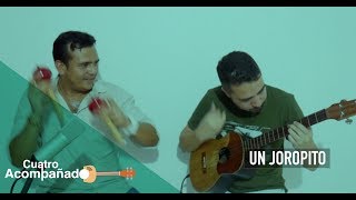 Edward Ramírez Ft. Wilmer Montilla - Un joropito (Cuatro acompañado)