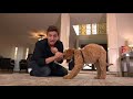 NEW PUPPY SURVIVAL GUIDE How to Train ANY Dog to STOP Barking, Calm Down & Stay! (EP 7)