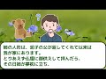 同居中の母親に三人目が出来たと報告したら「もういらないでしょ」と言われ、嫁が泣き出し修羅場に…【作業用・睡眠用】【2ch修羅場スレ】