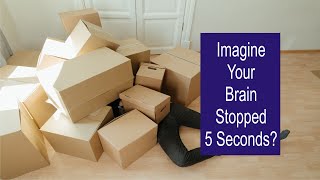 Imagine Your Brain Stopped For 5 Seconds? I Imagine Up