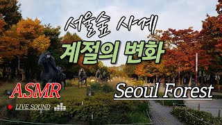 서울숲 사계::계절 따라 변화하는 서울숲  l ASMR 마음 편해지는 백색소음 매미소리 발자국소리  바람소리 새소리  The Four seasons of Seoul Forest