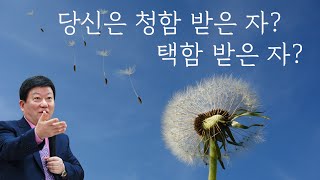 천국(하나님 나라) 복음 / 고윤재 목사 / 예사랑 장로교회 / 2019.03.03 주일예배 예사랑교회